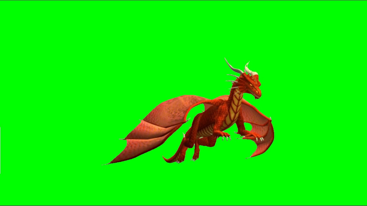 Green Screen Dragon | Animation - YouTube