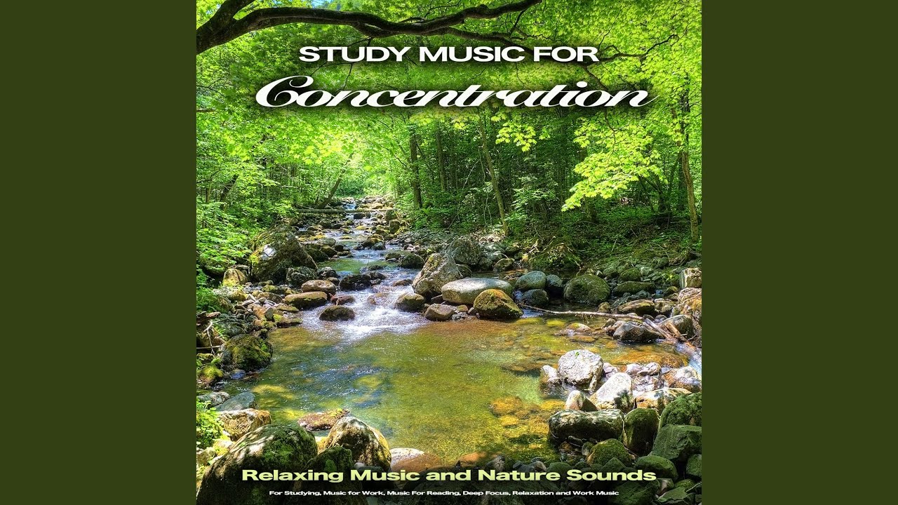 Zen Guitar Music For Focus and Concentration