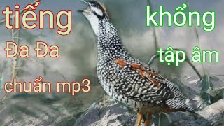 Tiếng Chim _Đa Đa _Mồi Chuẩn Nhất Mp3_ Không Tập Âm _ Mạnh  _