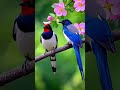 Amazing Birds 🐦 | Beautiful Nature Moments #shorts #birds
