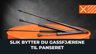 Bytte Panser selv - video på nett