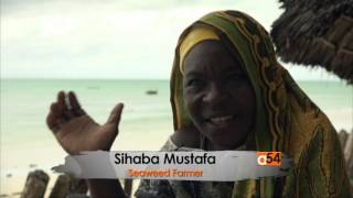 Zanzibar Seaweed Production