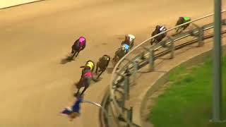 2017 Perth Cup
