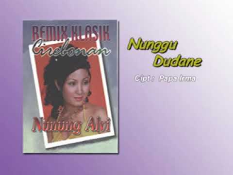 NUNUNG ALVI  -  NUNGGU DUDANE
