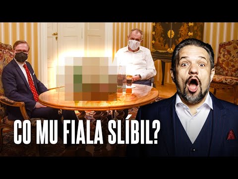 Budeme Mít Novou Vládu!