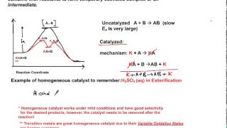 A3.2 Homogeneous catalyst