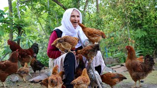 The Most Beautiful Moments Of The Old Grandmother With Her Animals | IRAN Nomadic Life