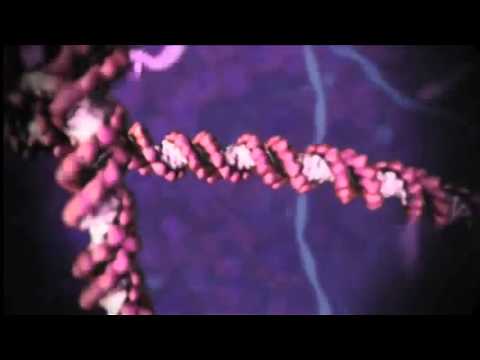Mind-blowing Animations of Molecular Machines inside Your Body!