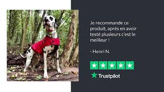 Avis Truspilot Pour Chiens