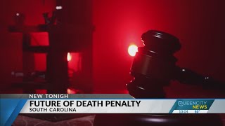 Court halts SC plan for firing squad execution
