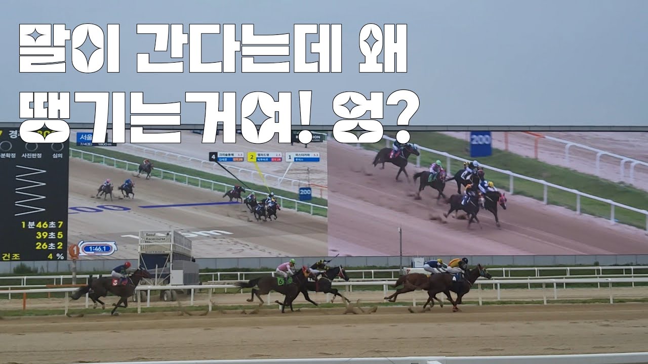 말이 힘이남아도니 알아서 1등으로 들어오네~ㅎ(서울경마 하이라이트) 