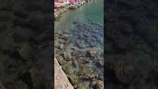 Bir Ben Miyim Kaybeden Öz