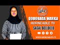 Qodobada Warka HCTV By Sagal Beeldeeq