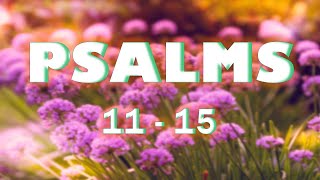 Holy Bible Audio: Psalms 11 - 15 : Learn English from Bible with Popular Verses & Quotes