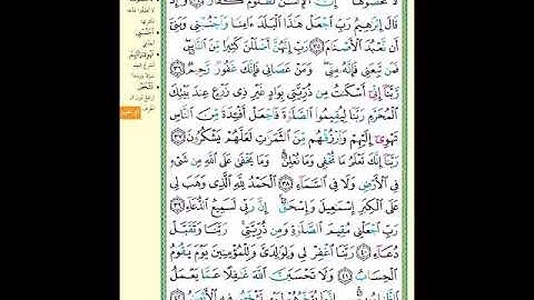 الصفحة (260) من المصحف الشريف ( سورة إبراهيم - مشروع حفظ لقرآن الكريم )