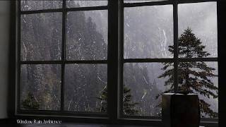 Cozy Thunderstorm & Heavy Rain on Window 🌧️ Relaxing Sleep Sounds for Deep Rest & Stress Relief