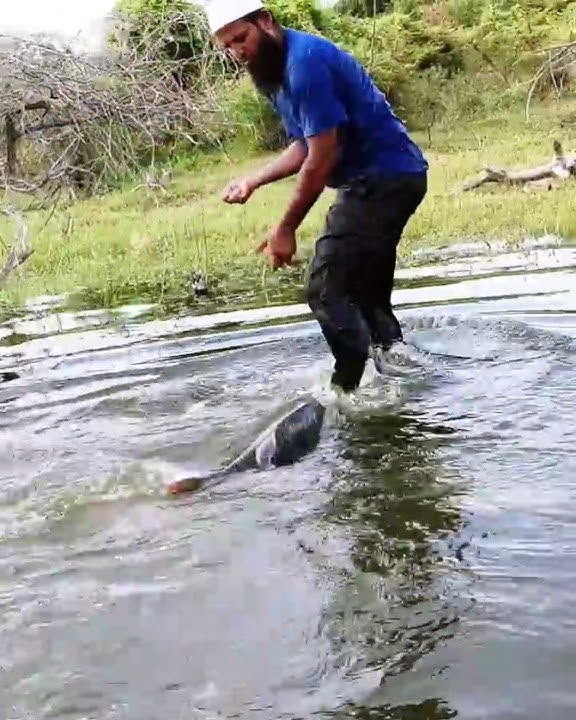 'BIG SIZE ROHUFISH WITH A SINGLE HOOK FLOAT FISHING TECHNIQUE IN KRISHNA RIVER '