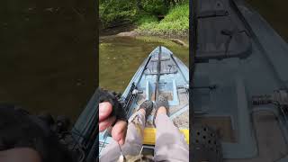 Brute brozebacks only! #kayakfishingtips #smallmouth #smallmouthbass #riverfishing #bassfishing