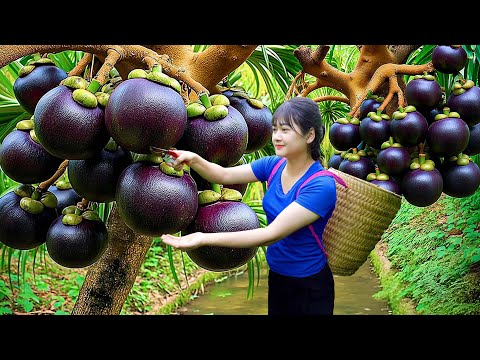 Harvesting Giant Wild Marina Apple – How to Make Traditional American Salmon Grill