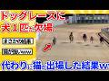 【2ch動物スレ】ドッグレースに犬が1匹欠場→代わりに猫が走った結果ｗｗｗｗｗ