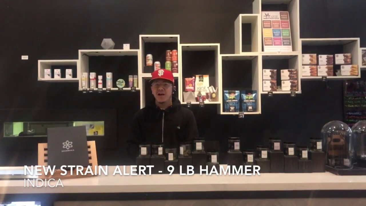 New Strain Alert | 9 lb Hammer | Indica