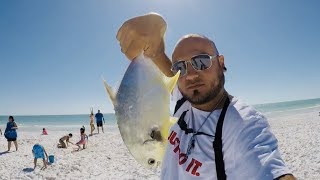 Fishing in Clearwater Florida Pompano fish Fishing in Clearwater Florida Pompano fish