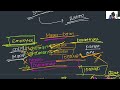 Implementing Relationship, Field Conversion, Rollup Summary Field | Nagpur Coders
