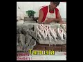 Mercado Municipal de Humaitá #bora_pra_estra #beruri #humaitá #lábrea