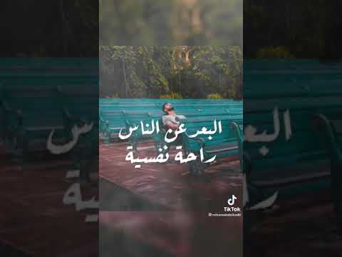 كل منسالك كلامك برجع افتكروو