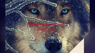 About X-WOLF (read desc)
