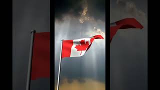 All flags I created in a+ flag creator 