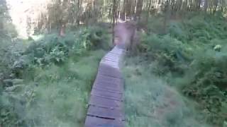 Cannock Chase - Monkey Trail - Monkey's Uncle - 08.08.2018