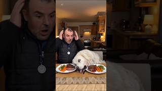 🚨 GUTEN APPETIT, HERR MAILO! 🚨🐶🍽️ #comedy #funny #humor #kuvasz #fun #dinner #dog #laugh #food 🚨 GUTEN APPETIT, HERR MAILO! 🚨🐶🍽️ #comedy #funny #humor #kuvasz #fun #dinner #dog #laugh #food