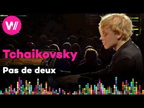 Tchaikovsky / Pletnev