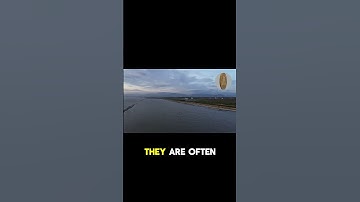 Why Principles Are Your Life