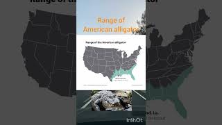 Range Of American Alligator.