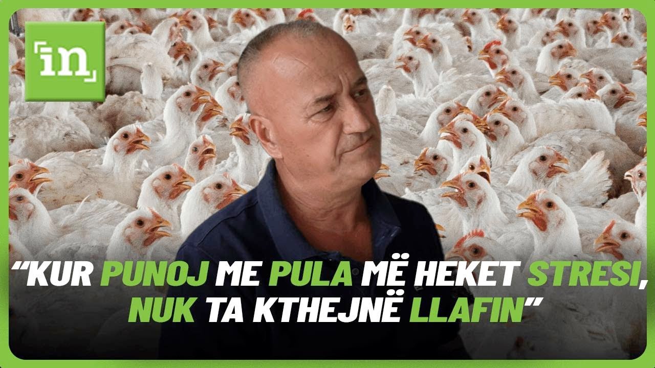 “Kur punoj me pula më heket stresi, nuk ta kthejnë llafin”, flet fermeri nga Slivova