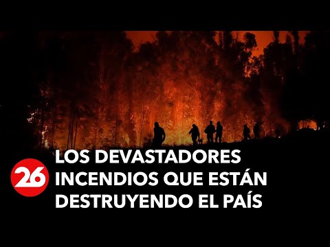 CHILE | Hay 10 detenidos y ya son 24 los muertos por el fuego arrasador