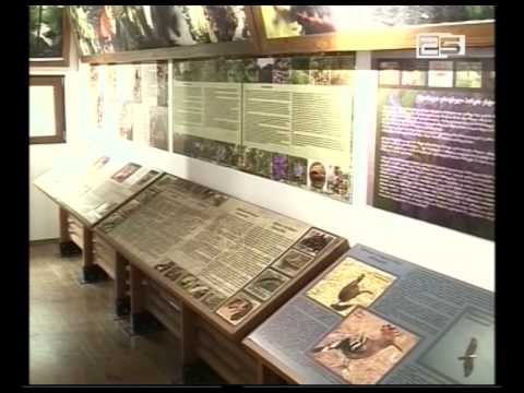 მტირალას ეროვნული პარკი ტურისტული სეზონისთვის ემზადება