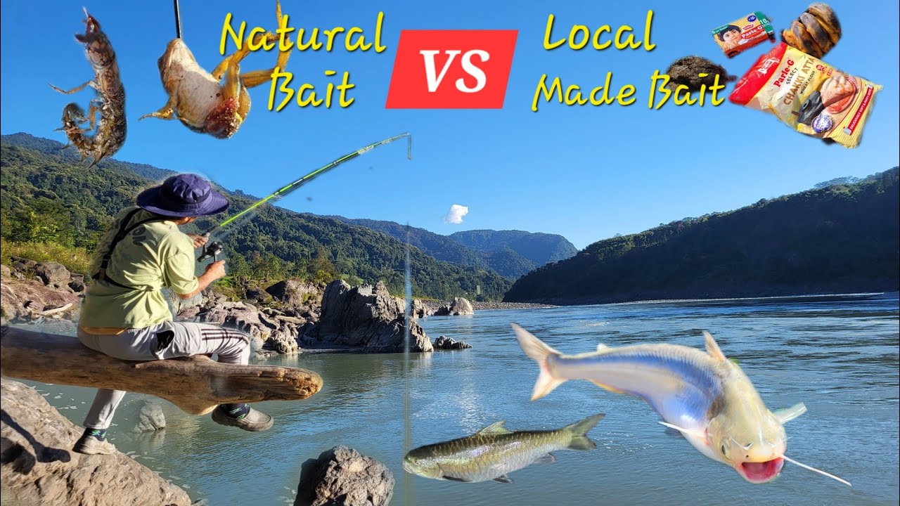 Top 3 Best Local Bait For Winter Fishing | Arunachal pradesh Village Fishing