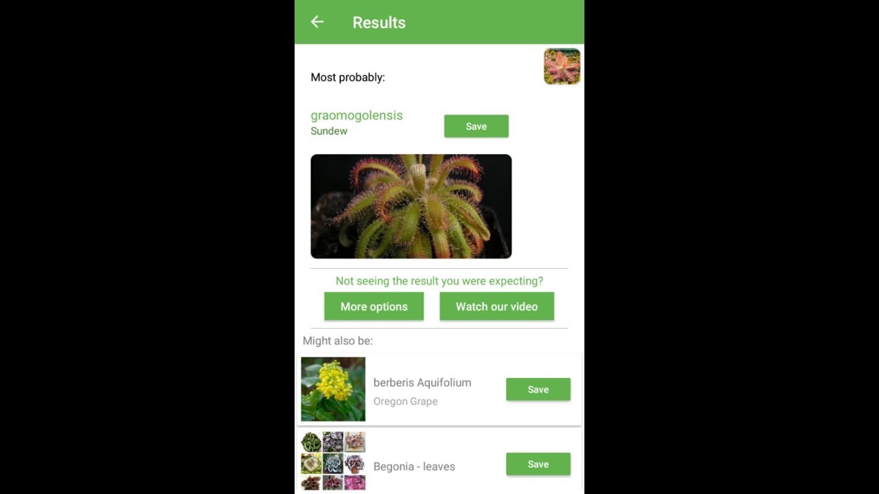 PlantSnap identifies a Drosera graomogolensis