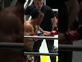 Epic Knockouts &amp; Brutal Finishes: Witness the Fury! #shorts