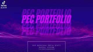 PEC101 PORTFOLIO