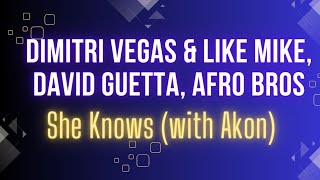 Dimitri Vegas & Like Mike, David Guetta, Afro Bros - She Knows (with Akon)  Resimi