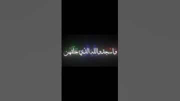 سورة فصلت (الآية 37) - الشيخ / كامل يوسف البهتيمي . #البهتيمي #سورة_فصلت #قرآن #quran