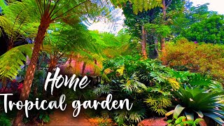 Tropical garden Sideyard Home | garden home landscape idea a place for relaxing✨🌺🌿