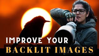 Tips to Improve your Backlit Images/Backlit Photography screenshot 5