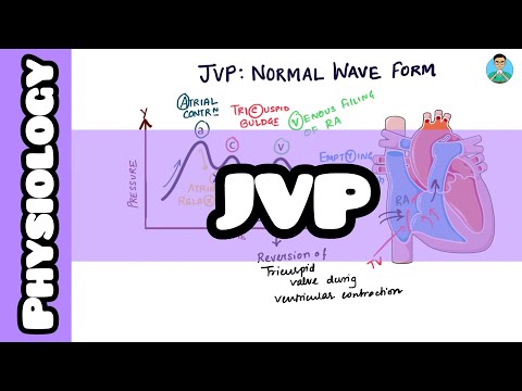 JVP: Normal wave form explained for #usmle #inicet #neetpg #nclex