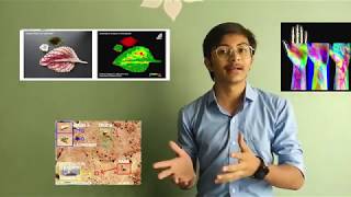Hyperspectral Image Reconstruction from RGB images | UCNN-D | Leadingindia.ai | Group-99