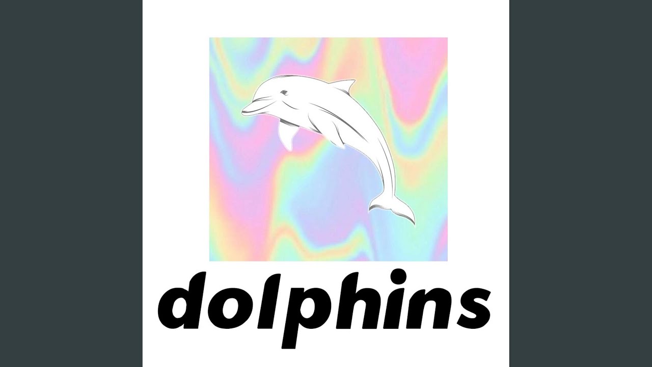 Watch Dolphins on YouTube Watch Dolphins on YouTube